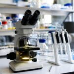 Claude trova un sistema enzimatico simile al CRISPR nel DNA dei batteriofagi
