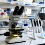 Claude trova un sistema enzimatico simile al CRISPR nel DNA dei batteriofagi