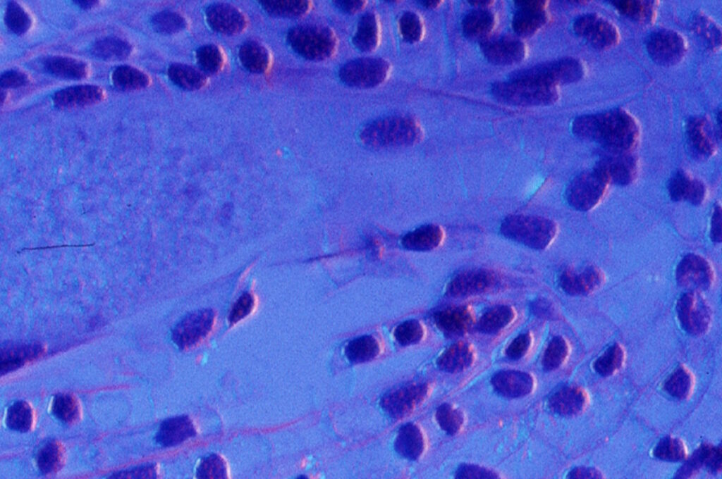 L’azienda USA Danaher aprirà il suo primo laboratorio di ricerca autonomo basato sull’intelligenza artificiale