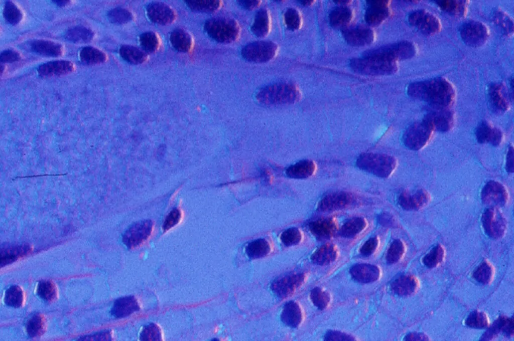 L’azienda USA Danaher aprirà il suo primo laboratorio di ricerca autonomo basato sull’intelligenza artificiale