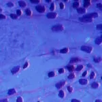 L’azienda USA Danaher aprirà il suo primo laboratorio di ricerca autonomo basato sull’intelligenza artificiale